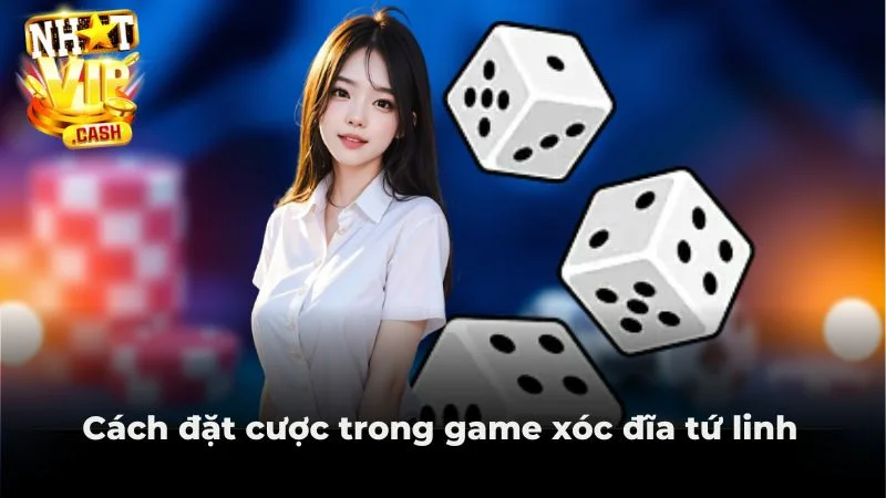 Cách đặt cược trong game xóc đĩa tứ linh Cách đặt cược trong game xóc đĩa tứ linh